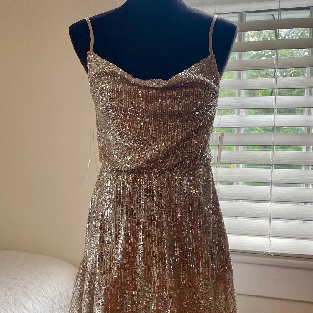 Champagne and silver sequin dress and jacket combo